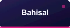 Bahisal logosu