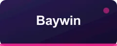 Baywin logosu